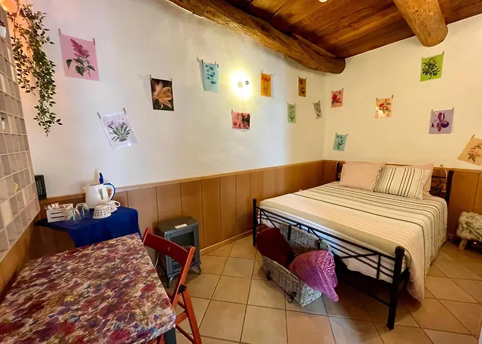 1912 - Flowers - Budget For Young Vendégház 3*