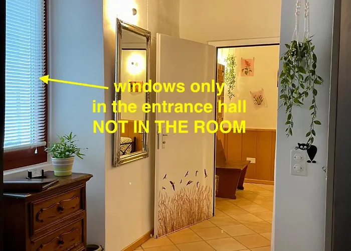 1912 - Flowers - Budget For Young