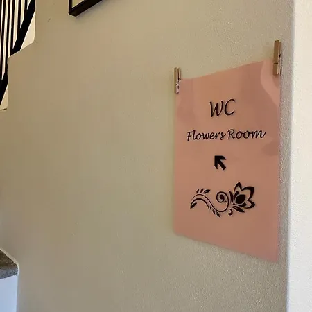 1912 - Flowers - Budget For Young Penzion 3*