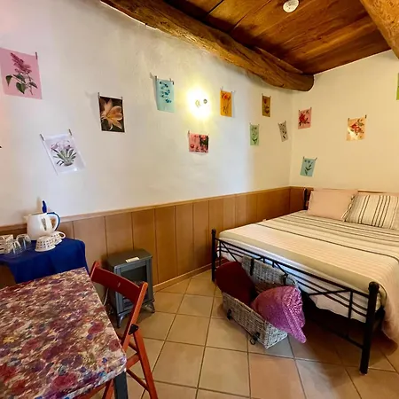 1912 - Flowers - Budget For Young Penzion 3*