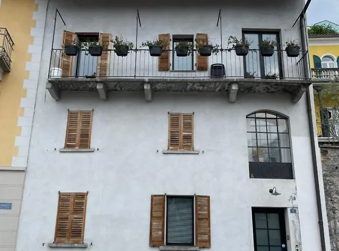 Penzion 1912 - Flowers - Budget For Young