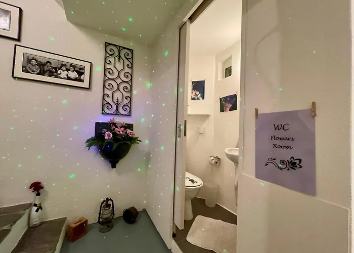 1912 - Flowers - Budget For Young Penzion