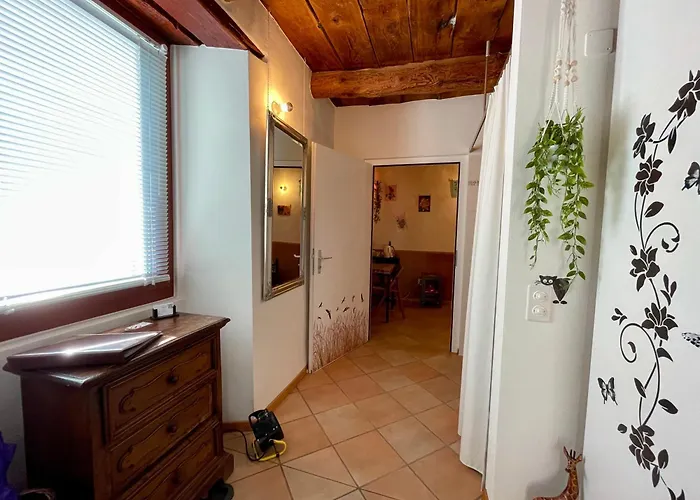 1912 - Flowers - Budget For Young Penzion Locarno