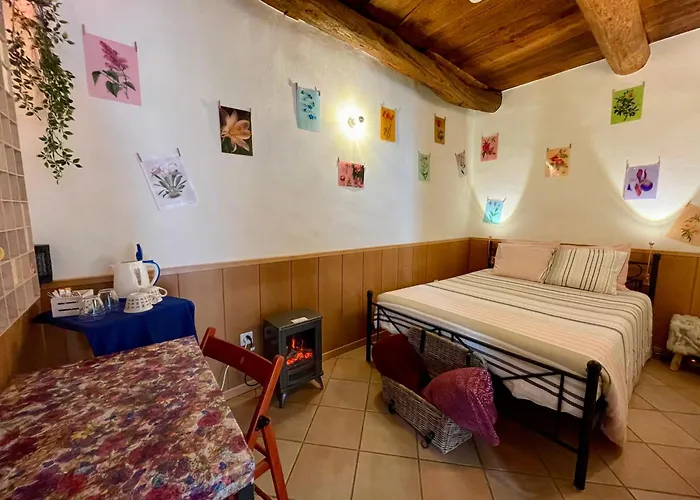 1912 - Flowers - Budget For Young Penzion