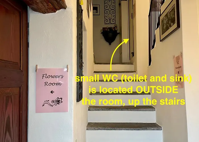 1912 - Flowers - Budget For Young