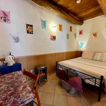 1912 - Flowers - Budget For Young Гостевой дом